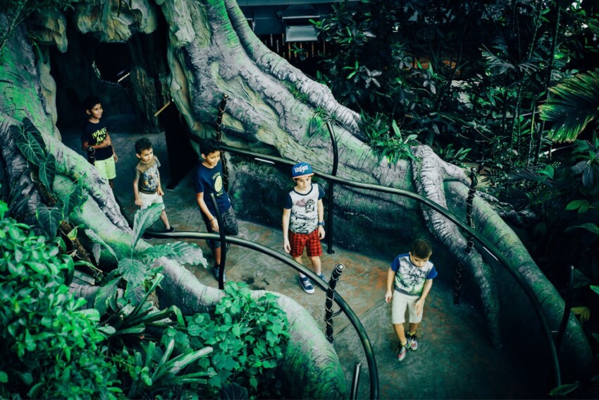 The Green Planet