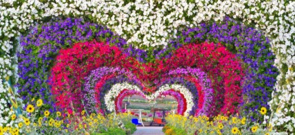 Dubai Miracle Garden