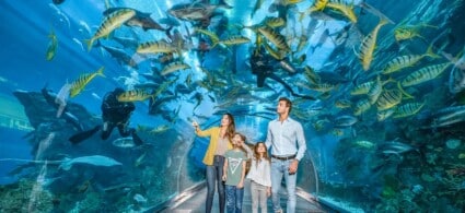 Dubai Aquarium