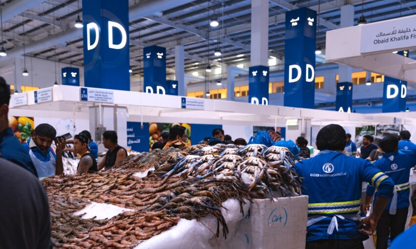 Mercato del pesce di Dubai